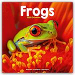 Frogs Calendar 2025 Square Animal Wall Calendar - 16 Month