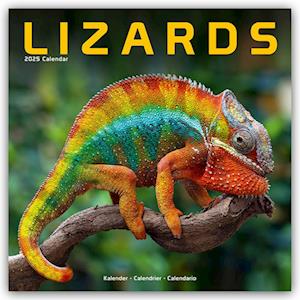 Lizards Calendar 2025 Square Animal Wall Calendar - 16 Month