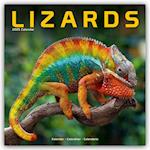 Lizards Calendar 2025 Square Animal Wall Calendar - 16 Month