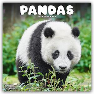 Panadas Calendar 2025 Square Animal Wall Calendar - 16 Month