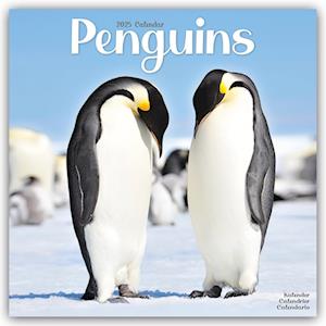 Penguins Calendar 2025 Square Animal Wall Calendar - 16 Month