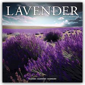 Lavender - Lavendel 2025 - 16-Monatskalender