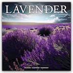 Lavender - Lavendel 2025 - 16-Monatskalender