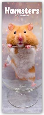 Hamsters Slim Calendar 2025 Cute Slimline Calendar - 12 Month