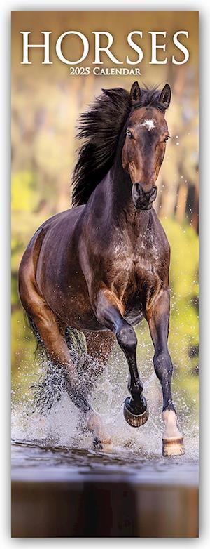 Horses Slim Calendar 2025 Horses Slimline Calendar - 12 Month