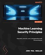 Machine Learning Security Principles