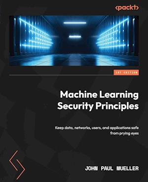 Machine Learning Security Principles