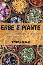 ERBE E PIANTE