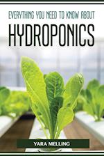 EVERYTHING YOU SHOULD KNOW ABOUT HYDROPONICS