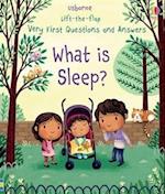 Very First Questions and Answers What Is Sleep?