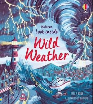 Look Inside Wild Weather