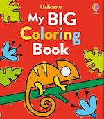 My Big Coloring Book