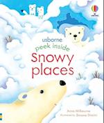 Peek Inside Snowy Places