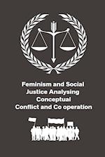 Feminism and Social Justice Analysing Conceptual Conflict and Co operation 