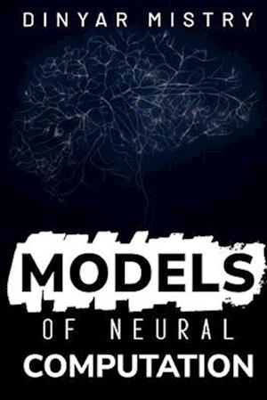 models of neural computation