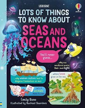 Lots of Things to Know About Seas and Oceans