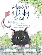 Adventures of Dinky the Cat