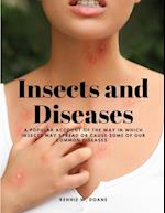 Insects and Diseases - A Popular Account of the Way in Which Insects may Spread or Cause some of our Common Diseases 