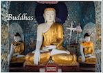 Buddhas 2025 L 35x50cm