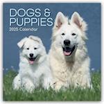 Dogs & Puppies - Hunde & Welpen 2025 - 12-Monatskalender