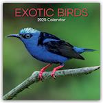 Exotik Birds - Exotische Vögel 2025 - 12-Monatskalender