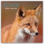 Foxes - Füchse 2025 - 16-Monatskalender