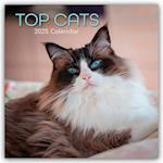 Top Cats - Top-Katzen 2025 - 12-Monatskalender