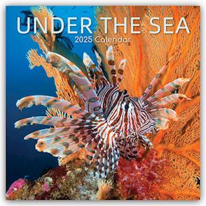 Unter the Sea - Tropische Fische 2025 - 16-Monatskalender