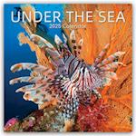 Unter the Sea - Tropische Fische 2025 - 16-Monatskalender