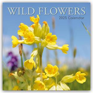 Wild Flowers - Wildblumen 2025 - 16-Monatskalender