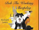 BOB the Working sheep dog!