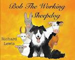 BOB the Working sheep dog!