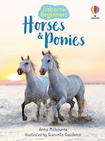 Horses and Ponies