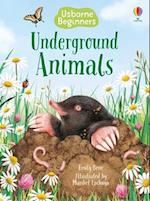 Underground Animals