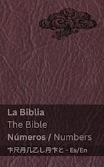 La Biblia (Números) / The Bible (Numbers)