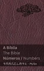 A Bíblia (Números) / The Bible (Numbers)