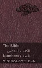 The Bible (Numbers) / &#1575;&#1604;&#1603;&#1578;&#1575;&#1576; &#1575;&#1604;&#1605;&#1602;&#1583;&#1587; (&#1575;&#1604;&#1593;&#1583;&#1583;)