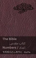 The Bible (Numbers) / &#1705;&#1578;&#1575;&#1576; &#1605;&#1602;&#1583;&#1587; (&#1575;&#1593;&#1583;&#1575;&#1583;)