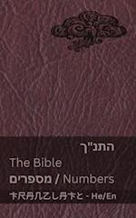 &#1492;&#1514;&#1504;"&#1498; (&#1502;&#1505;&#1508;&#1512;&#1497;&#1501;) / The Bible (Numbers)