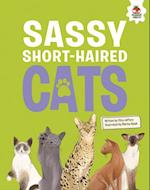 Sassy Short-Haired Cats