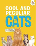 Cool and Peculiar Cats