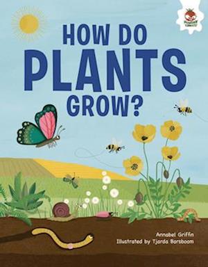 How Do Plants Grow?