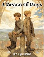 A Brace Of Boys By Fitz Hugh Ludlow