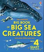 Big Book of Big Sea Creatures