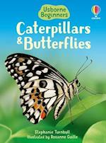 Caterpillars and Butterflies