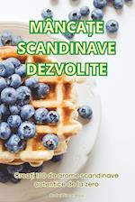 Mânca&#538;e Scandinave Dezvolite