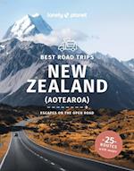 Travel Guide Best Road Trips New Zealand