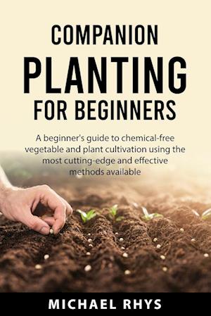 Companion Planting  For Beginners