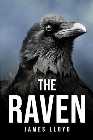 THE RAVEN