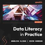 Data Literacy in Practice